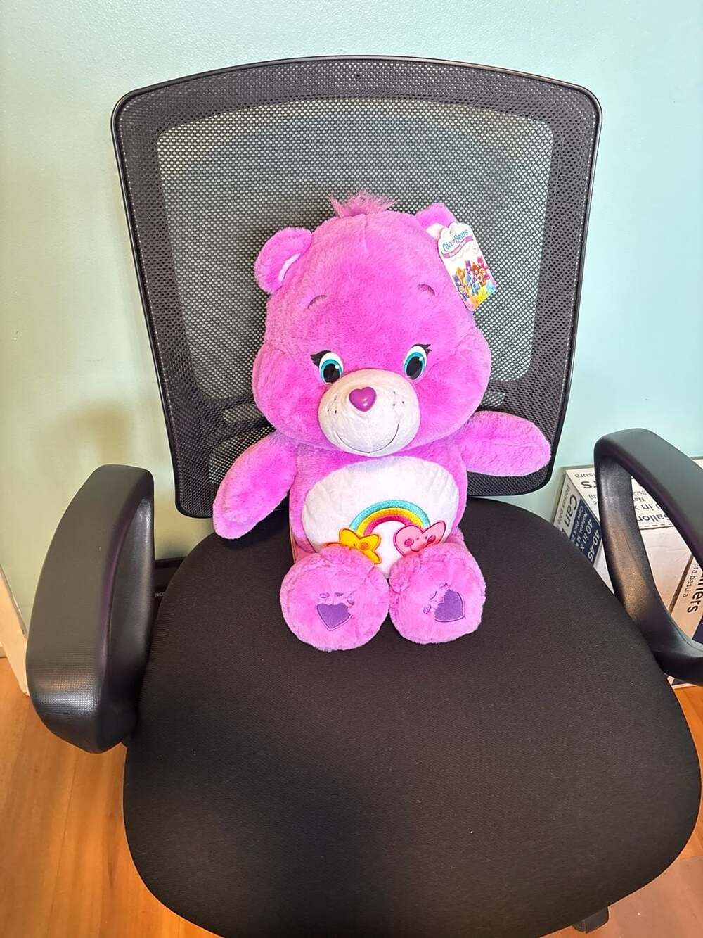 Care Bears Cheer Bear Pink Rainbow 13" Plush Stuffed Animal With Tags